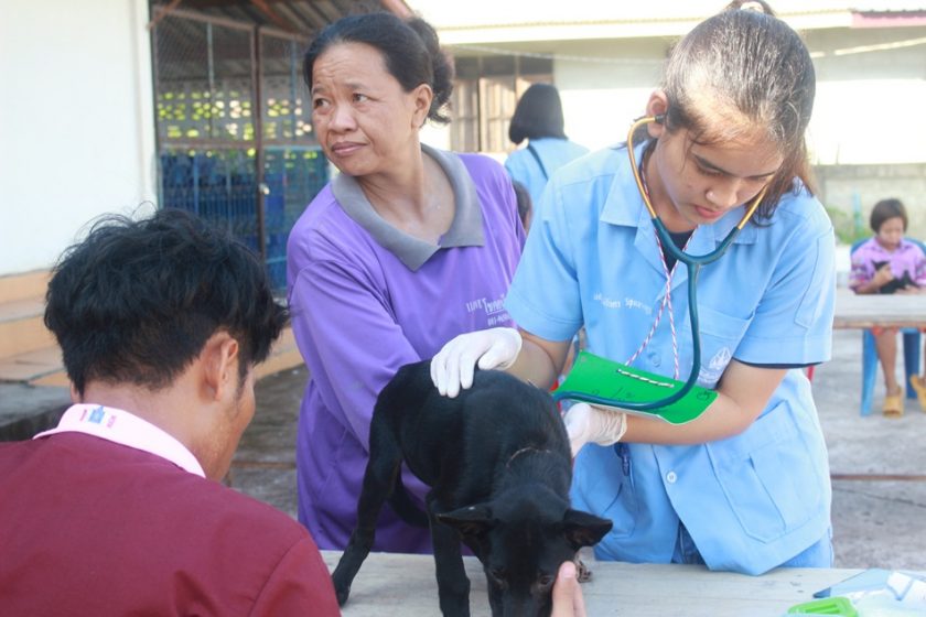 Faculty of Veterinary Medicine organizes the 15th Vet Camp